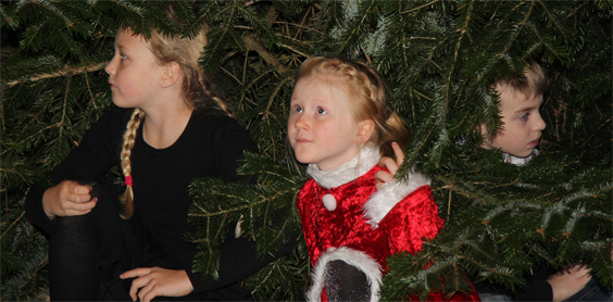 juletræsfest2
